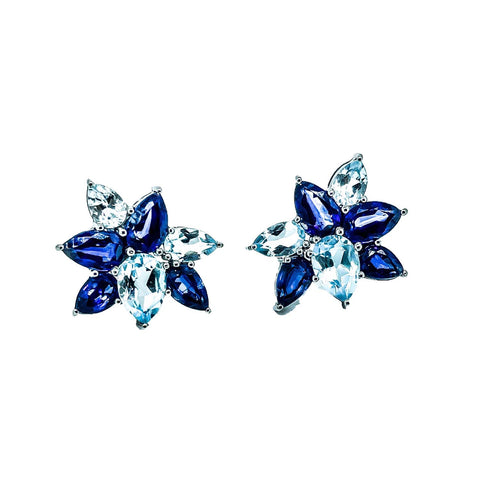 Classic Blue Topaz and Kyanite Earrings